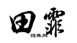 胡問遂田霏行書個性簽名怎么寫