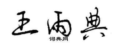 曾慶福王雨典草書個性簽名怎么寫