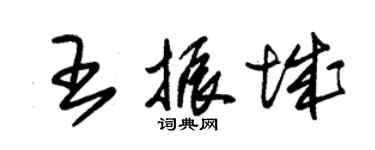 朱錫榮王振城草書個性簽名怎么寫