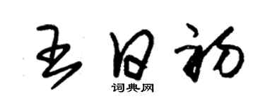 朱錫榮王日初草書個性簽名怎么寫