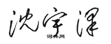 駱恆光沈宇澤草書個性簽名怎么寫