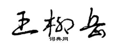 曾慶福王柳岳草書個性簽名怎么寫