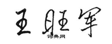 駱恆光王旺軍行書個性簽名怎么寫