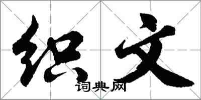 胡問遂織文行書怎么寫