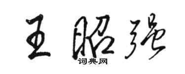 駱恆光王昭強行書個性簽名怎么寫