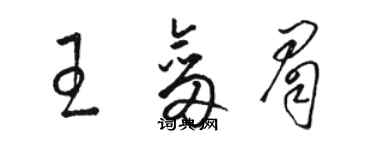 駱恆光王劍眉草書個性簽名怎么寫