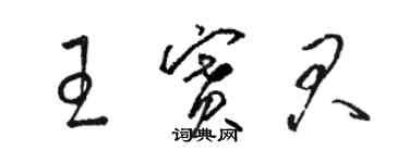 駱恆光王賽君草書個性簽名怎么寫