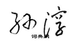 駱恆光孫淳草書個性簽名怎么寫