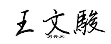 王正良王文駿行書個性簽名怎么寫