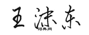 駱恆光王沫東行書個性簽名怎么寫