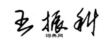 朱錫榮王振科草書個性簽名怎么寫
