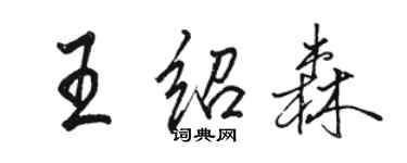 駱恆光王紹森行書個性簽名怎么寫
