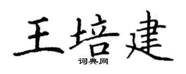 丁謙王培建楷書個性簽名怎么寫