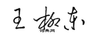 駱恆光王柳東草書個性簽名怎么寫