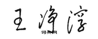 駱恆光王淨淳草書個性簽名怎么寫