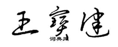 曾慶福王寶健草書個性簽名怎么寫