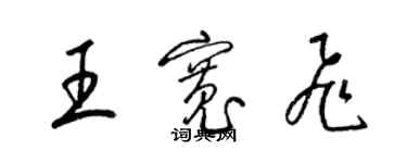 梁錦英王寬飛草書個性簽名怎么寫