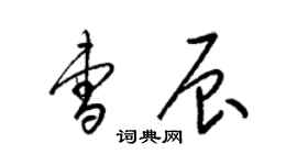 梁錦英曹辰草書個性簽名怎么寫