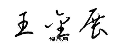 梁錦英王金展草書個性簽名怎么寫