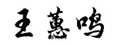 胡問遂王蕙鳴行書個性簽名怎么寫