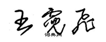 朱錫榮王霓飛草書個性簽名怎么寫