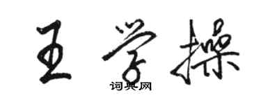 駱恆光王學操行書個性簽名怎么寫