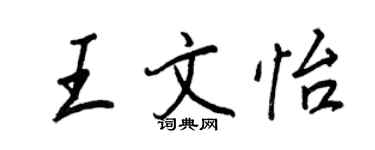 王正良王文怡行書個性簽名怎么寫