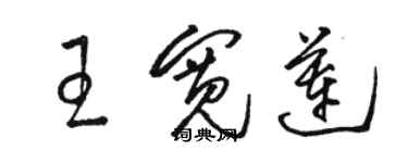 駱恆光王寬蓮草書個性簽名怎么寫