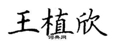 丁謙王植欣楷書個性簽名怎么寫