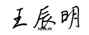 王正良王辰明行書個性簽名怎么寫