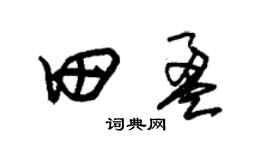 朱錫榮田盈草書個性簽名怎么寫