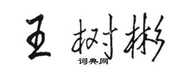 駱恆光王樹彬行書個性簽名怎么寫