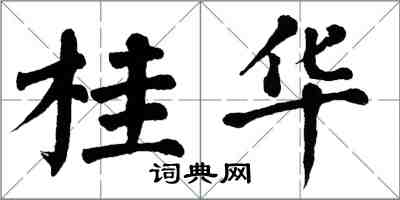 翁闓運桂華楷書怎么寫