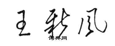 駱恆光王新風草書個性簽名怎么寫