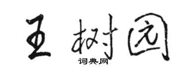 駱恆光王樹園行書個性簽名怎么寫
