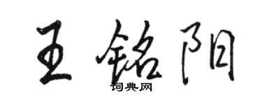 駱恆光王銘陽行書個性簽名怎么寫