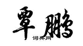 胡問遂覃鵬行書個性簽名怎么寫