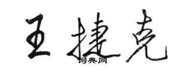 駱恆光王捷克行書個性簽名怎么寫