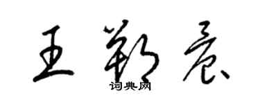 梁錦英王朔晨草書個性簽名怎么寫