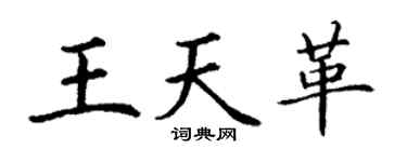 丁謙王天革楷書個性簽名怎么寫