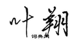 駱恆光葉翔行書個性簽名怎么寫