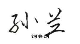 駱恆光孫蘭行書個性簽名怎么寫