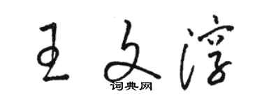 駱恆光王文淳草書個性簽名怎么寫