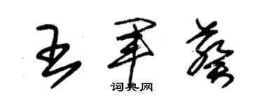 朱錫榮王軍葵草書個性簽名怎么寫