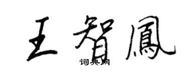 王正良王智鳳行書個性簽名怎么寫