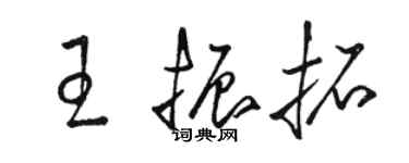 駱恆光王振拓草書個性簽名怎么寫