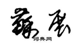 朱錫榮蘇展草書個性簽名怎么寫