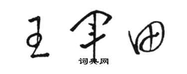 駱恆光王軍田草書個性簽名怎么寫