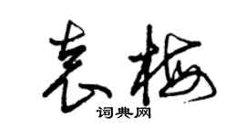 曾慶福袁梅草書個性簽名怎么寫