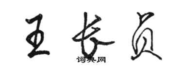 駱恆光王長貞行書個性簽名怎么寫